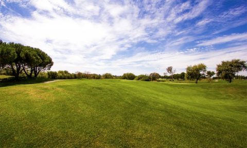 Rooster Run Golf Course Petaluma CA